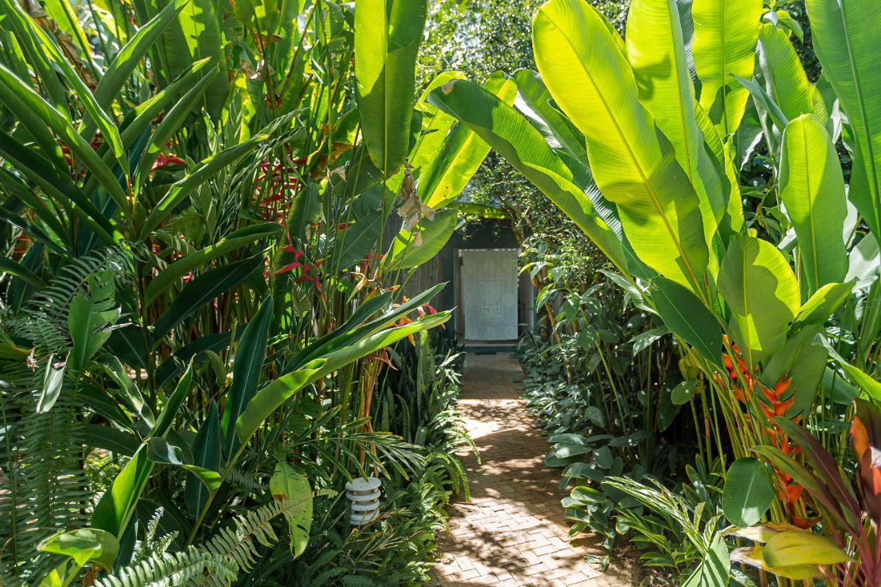 Pousada Capim Santo Trancoso Buitenkant foto